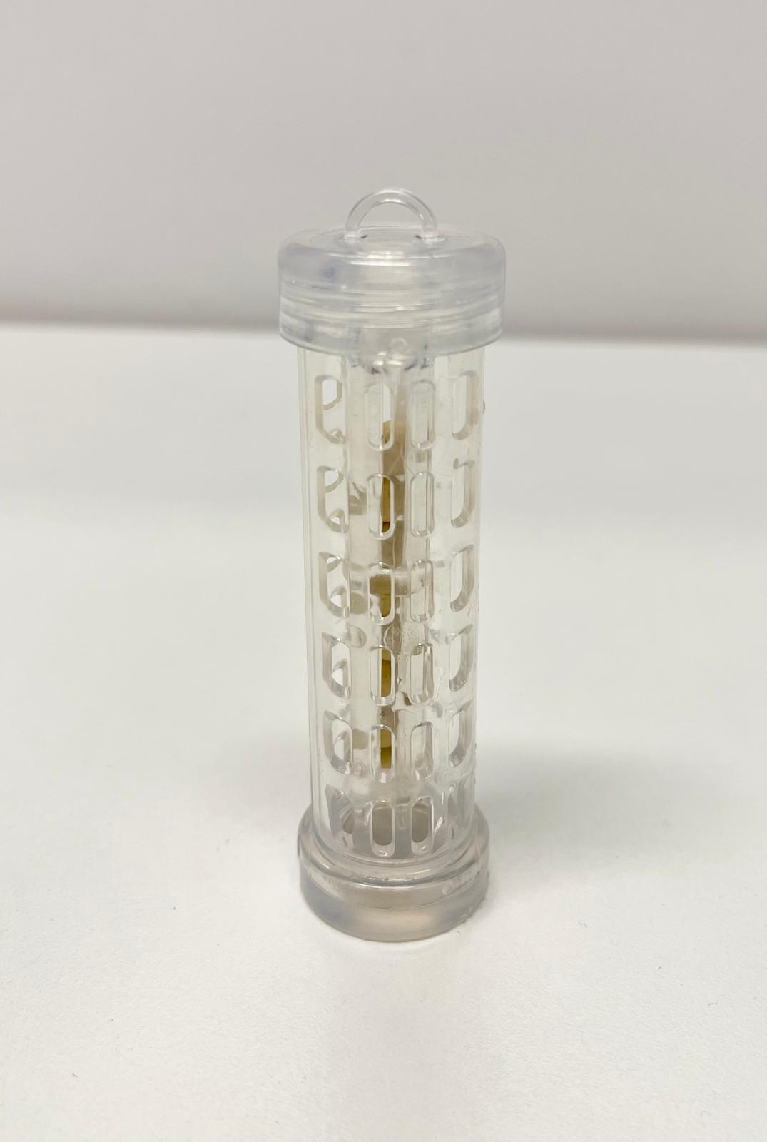Alcaline Squeeze (1st Generation) - Replacement Ion Balls & Magnet